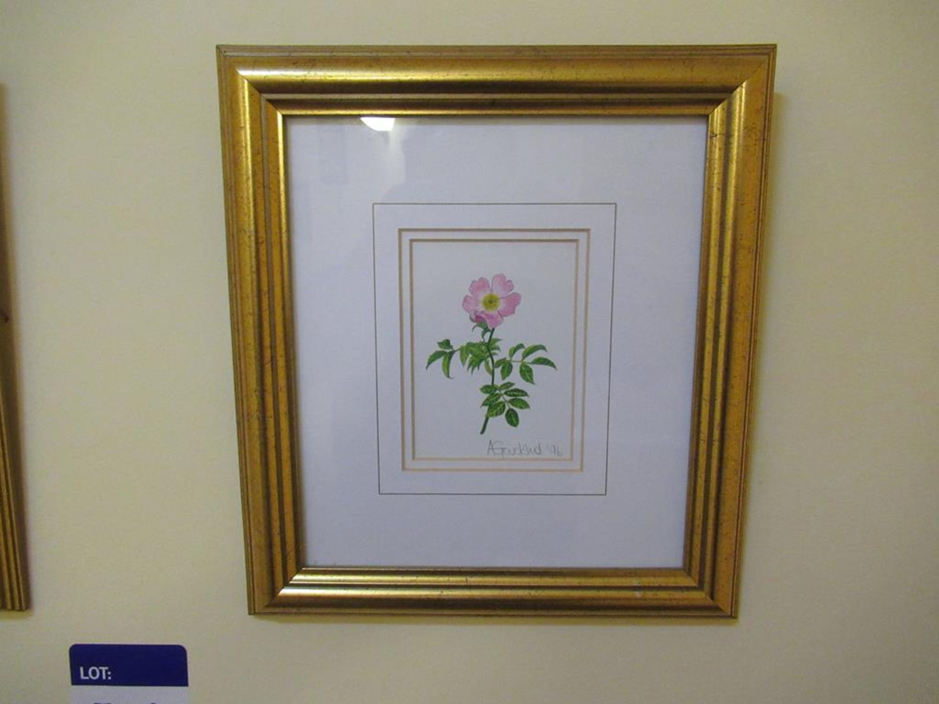 6 various signed miniature floral framed pints - Image 2 of 5