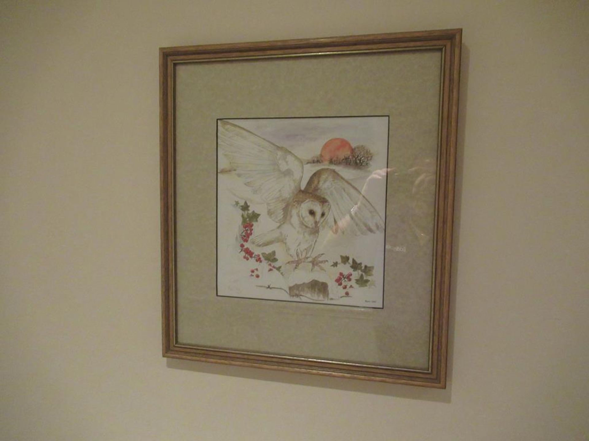 6 framed wild life prints by Avril Fay - Image 2 of 6