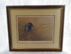 Signed prints Kingfisher Robert E Fuller