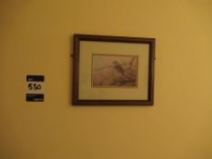 11 framed pictures of birds