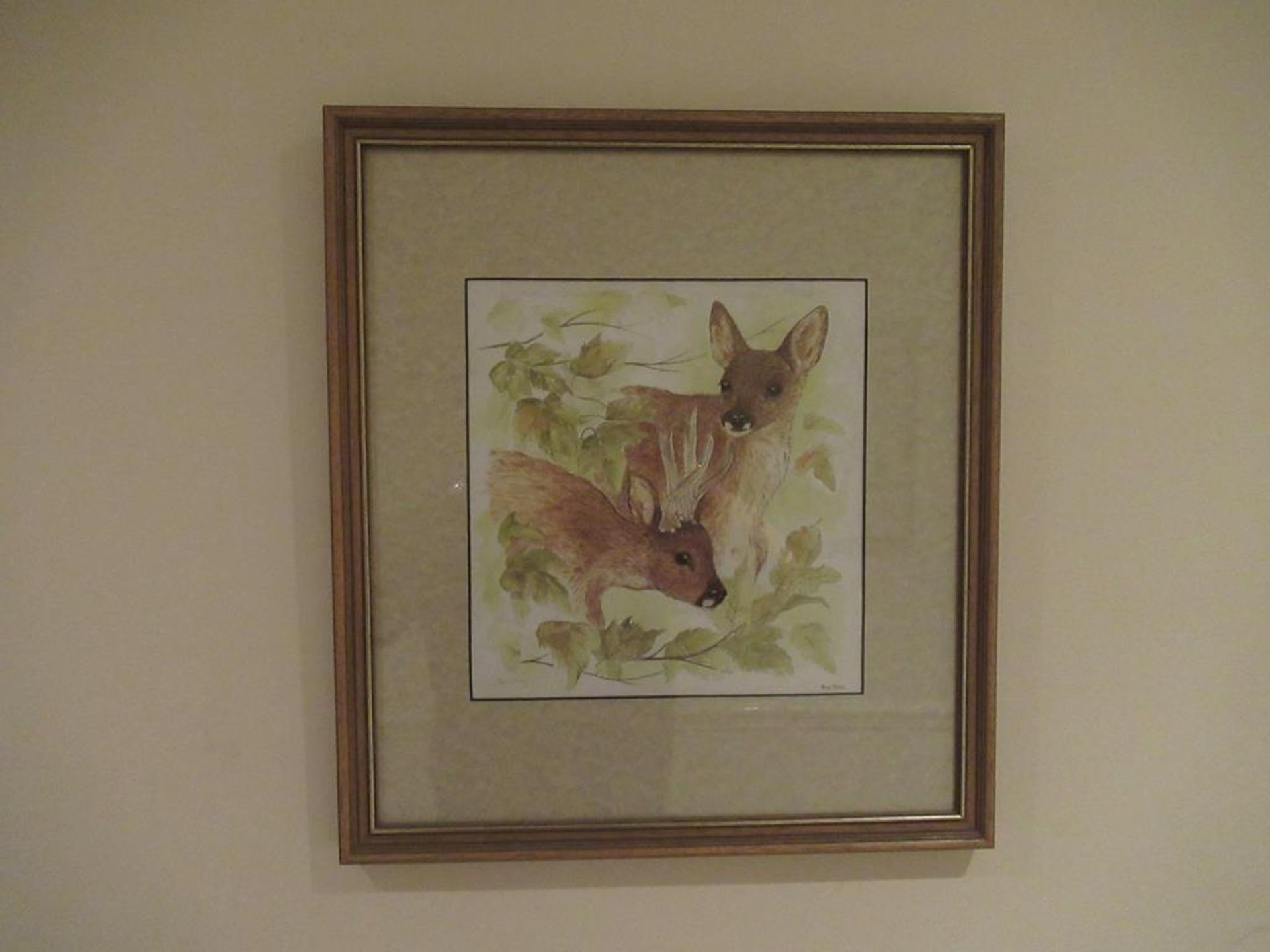 7 framed wild life prints by Avril Fay - Image 2 of 7