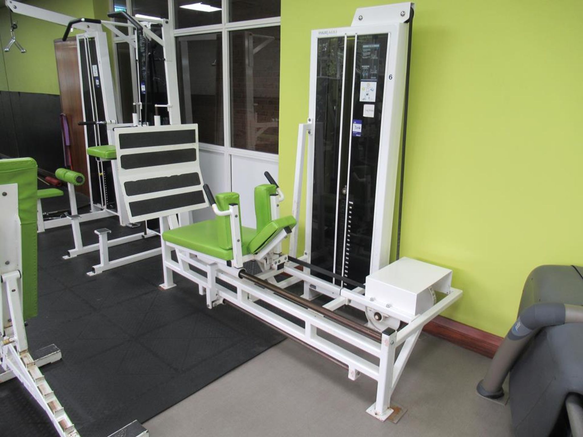 Pulse Star leg press machine