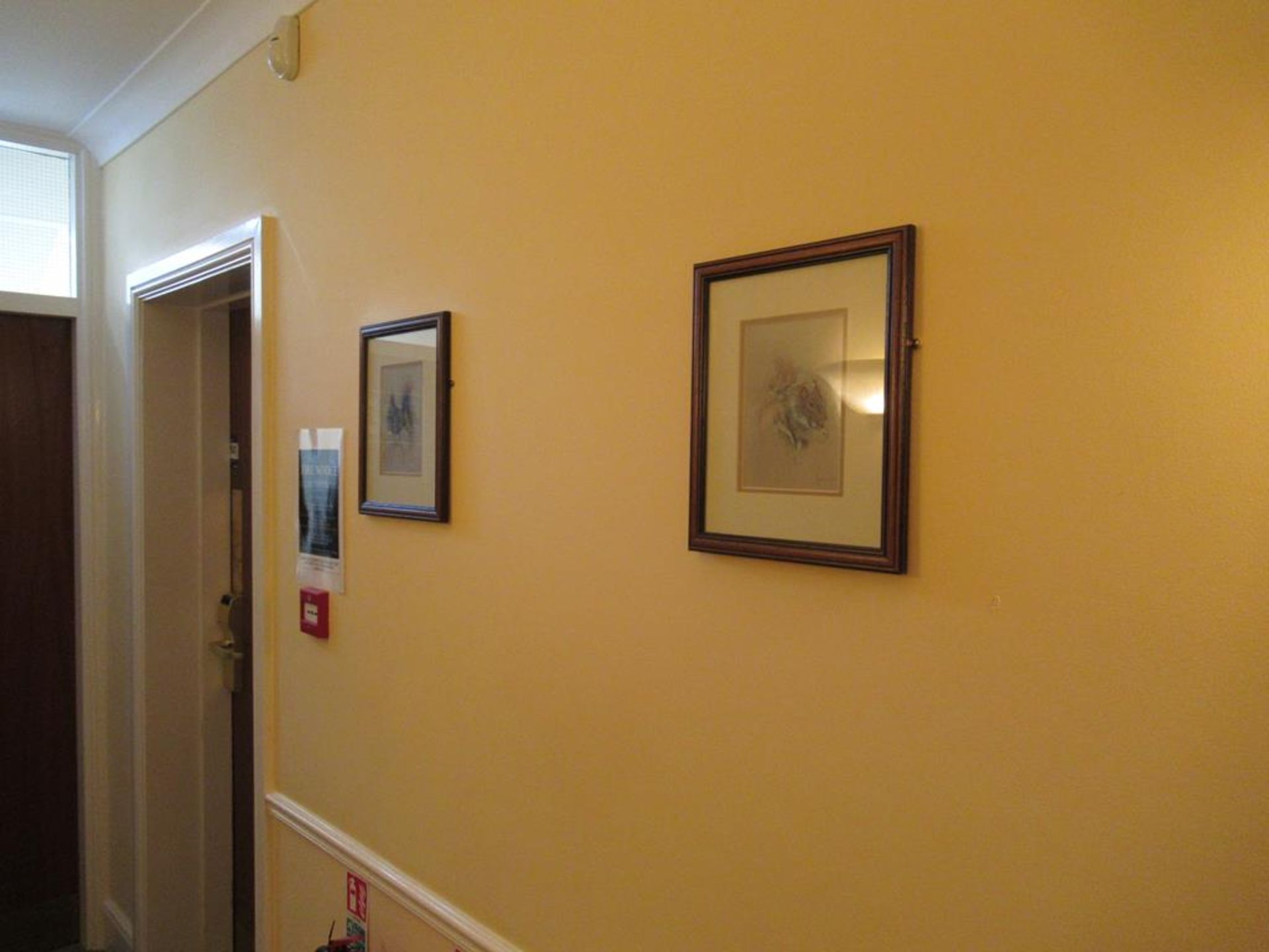 11 framed pictures of birds - Image 5 of 5