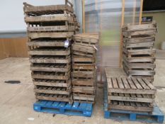 50 x wooden chitting trays