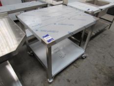 Mobile Stainless Steel Two Tier Mobile Bench