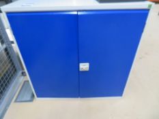 Two door metal cupboard with content to include silicone grease, light bulbs, seals etc