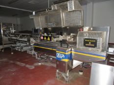 Ilapak Delta 3000 HSR. Horizontal Flow Wrapper