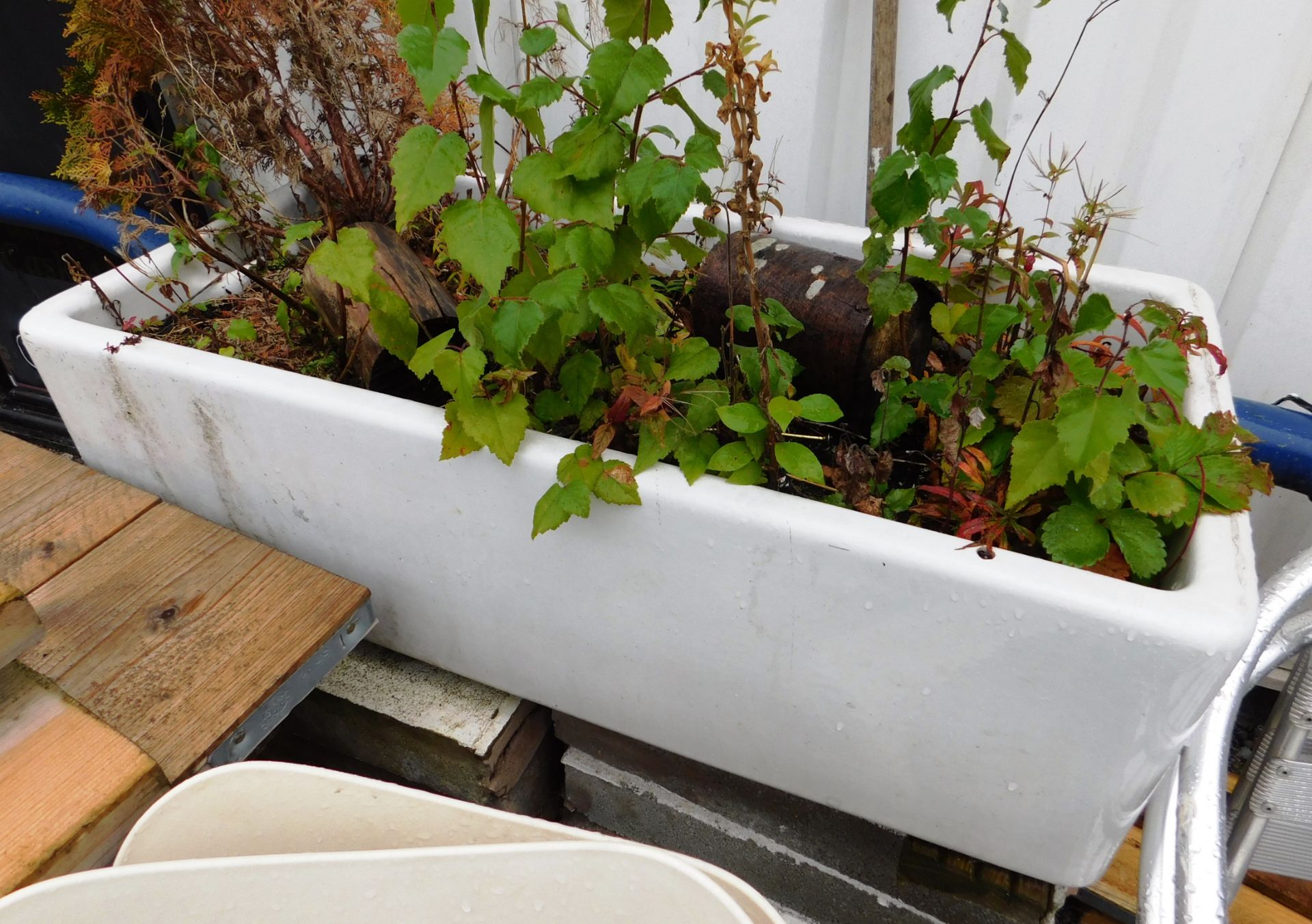 White Enamel Sink