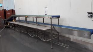 Bepsoke Double layer packing conveyor.