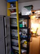 Electricians Step Ladder and Plastic Shelving Unit