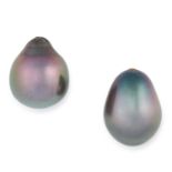 A PAIR OF GREY / BLACK PEARLS of 14.5 and 15.8mm, unmounted, half drilled, 6.1g.