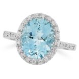 AN AQUAMARINE AND DIAMOND CLUSTER RING in 18ct white gold, set with an oval cut aquamarine in a