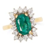 AN EMERALD AND DIAMOND CLUSTER RING in yellow gold, set with an oval cut emerald in a cluster of