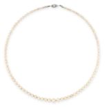 A PEARL NECKLACE comprising a single row of pearls ranging 6.9-3.3mm, on a pearl set clasp, 50.0cm /