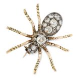 A DIAMOND TARANTULA BROOCH, MID 20TH CENTURY in 14ct yellow gold and silver, designed as a large