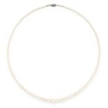 A PEARL AND DIAMOND NECKLACE comprising a single row of natural saltwater pearls and two cultured