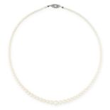 A PEARL NECKLACE comprising a single row of pearls ranging 7.3-3.1mm, on a pearl set clasp, 46.0cm /
