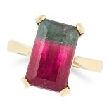 A WATERMELON TOURMALINE DRESS RING in 18ct yellow