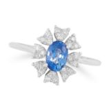 A SAPPHIRE AND DIAMOND CLUSTER RING set with an oval modern brilliant cut sapphire in a cluster of