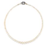 A NATURAL PEARL NECKLACE comprising a single row of eighty one pearls ranging 7.0-3.3mm, on a