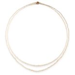 A NATURAL PEARL TWO ROW NECKLACE comprising two rows of three hundred and thirty seven graduated