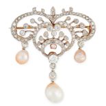 AN ANTIQUE NATURAL PEARL AND DIAMOND BROOCH in high carat yellow gold and platinum, the scrolling
