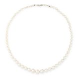 A PEARL NECKLACE in white gold, comprising a single row of thirty-three graduated pearls ranging 8.