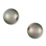 A PAIR OF BLACK PEARL STUD EARRINGS in 18ct white gold, each set with a black pearl of 12.65 mm,