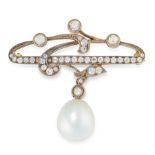 A PEARL AND DIAMOND BROOCH in 18ct yellow gold, in Art Nouveau design, the scrolling body is set