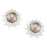 A PAIR OF BLACK PEARL AND DIAMOND CLIP EARRINGS, TIFFANY & CO in platinum, each set with a