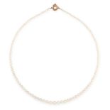 A PEARL AND DIAMOND NECKLACE in yellow gold, comprising of a single row of graduated pearls, on a