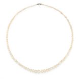 A NATURAL SALTWATER PEARL NECKLACE comprising of a single row of one hundred and fifteen graduated