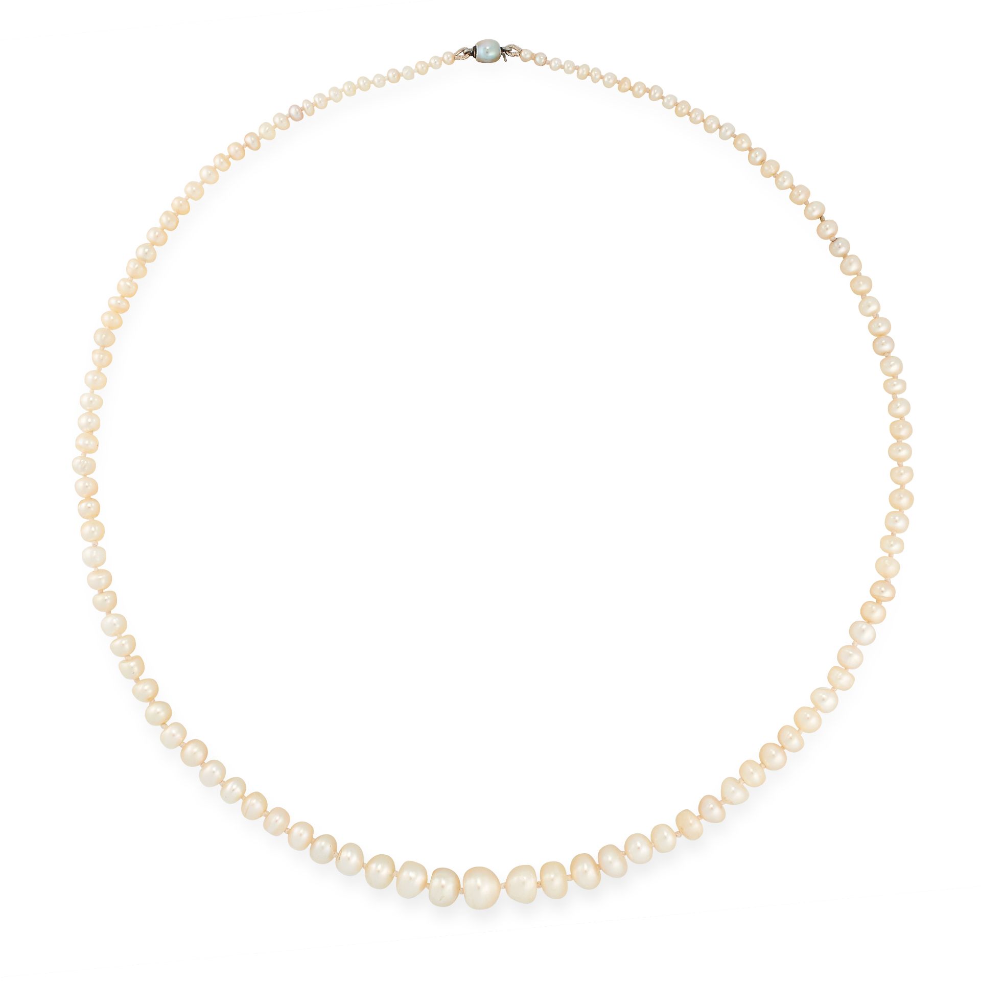 A NATURAL SALTWATER PEARL NECKLACE comprising of a single row of one hundred and fifteen graduated