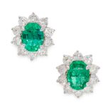 A PAIR OF EMERALD AND DIAMOND CLUSTER EARRINGS in 18ct white gold, each set with an oval cut emerald