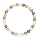 A SOUTH SEA PEARL NECKLACE set with white, golden, grey and black south sea pearls, unmarked,
