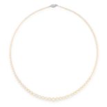 A PEARL AND DIAMOND NECKLACE in platinum, comprising of a single row of pearl ranging from 2.8mm -