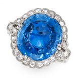 A SAPPHIRE AND DIAMOND DRESS RING in platinum and 18ct white gold, set with a mixed cushion cut blue