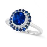 A SAPPHIRE AND DIAMOND CLUSTER RING in 18ct white gold, set with a cushion cut sapphire of 1.33