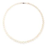 A PEARL, SAPPHIRE AND DIAMOND NECKLACE in yellow gold and silver, comprising a single row of fifty