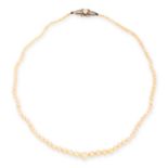 AN ANTIQUE NATURAL PEARL AND DIAMOND NECKLACE in high carat yellow gold and silver, comprising a