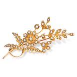 AN ANTIQUE PEARL FLOWER SPRAY BROOCH in yellow gold, in the form of a bouquet of flowers set with