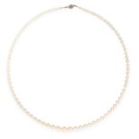 A PEARL AND DIAMOND NECKLACE in 18ct yellow gold and silver, comprising a single row of eighty-