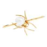 A NATURAL SALTWATER PEARL AND DIAMOND SPIDER BROOCH in yellow gold, in the form of a spider set with