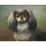 HENRY CROWTHER (FL. 1905), "MERRIE", STUDY OF A PEKINESE