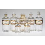 A GROUP OF EIGHT LATE VICTORIAN CLEAR GLASS LUG APOTHECARY BOTTLES