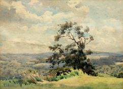T.S. EVANS, TREE IN A LANDSCAPE