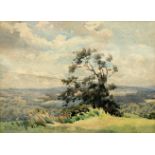 T.S. EVANS, TREE IN A LANDSCAPE