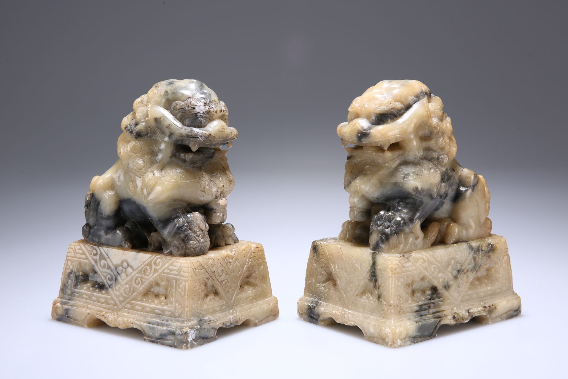 A PAIR OF CHINESE CARVED STONE MODELS OF FU DOGS, 19TH CENTURY