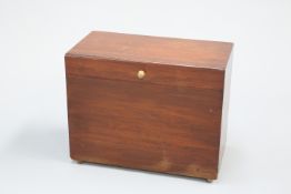 A 19TH CENTURY CAMPHOR BOX