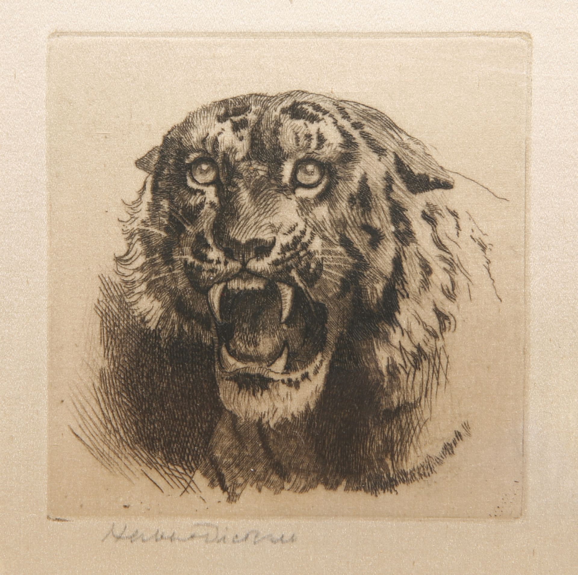 HERBERT DICKSEE (1862-1942), LION, IRISH WOLFHOUND AND TIGER - Bild 3 aus 3